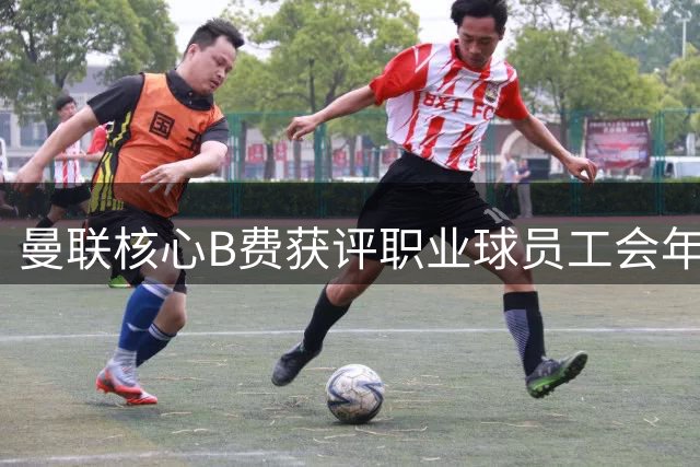 曼联核心B费获评职业球员工会年度最佳 创多项纪录